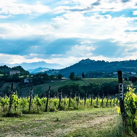 Recchi Franceschini Bike Last - Minute - Availability Farma *