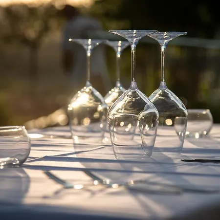 Recchi Franceschini Bike Last - Minute - Availability * Montalto delle Marche