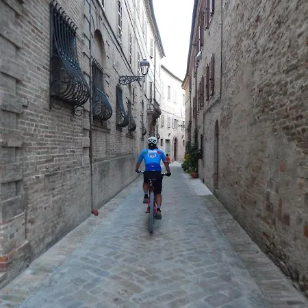 Recchi Franceschini Bike Last - Minute - Availability * Montalto delle Marche