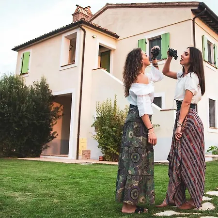 Recchi Franceschini Bike Last - Minute - Availability * Montalto delle Marche