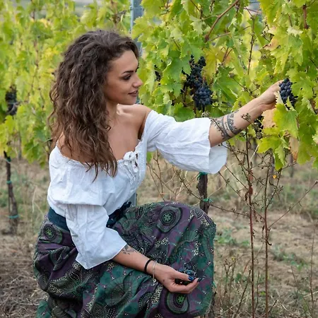 Farma Recchi Franceschini Bike Last - Minute - Availability *