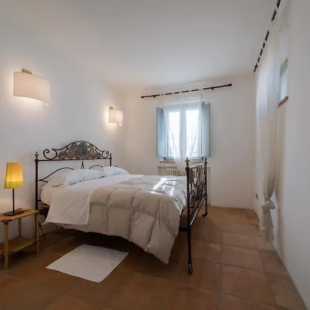 Recchi Franceschini Bike Last - Minute - Availability Farma