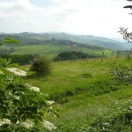 Recchi Franceschini Bike Last - Minute - Availability Farma Montalto delle Marche